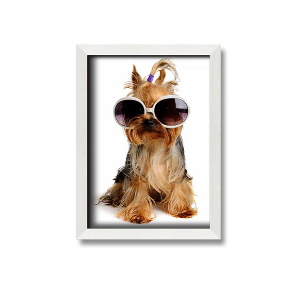 Maturi Yorkshire Terrier Dog Glamour Framed Print Wall Art Wayfair.co.uk